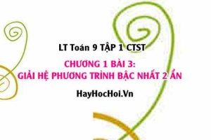 Hướng Dẫn Chi Tiết Giải Hệ Phương Trình Bậc Nhất - Toán 9 Chân trời tập 1 Chương 1 bài 3
